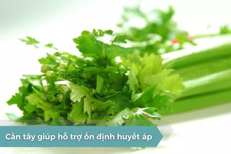 can-tay-thao-duoc-ho-tro-on-dinh-huyet-ap-hieu-qua.webp
