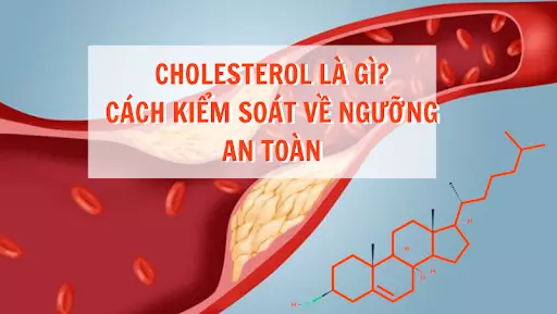 Chỉ số cholesterol là gì? Cách kiểm soát về ngưỡng an toàn