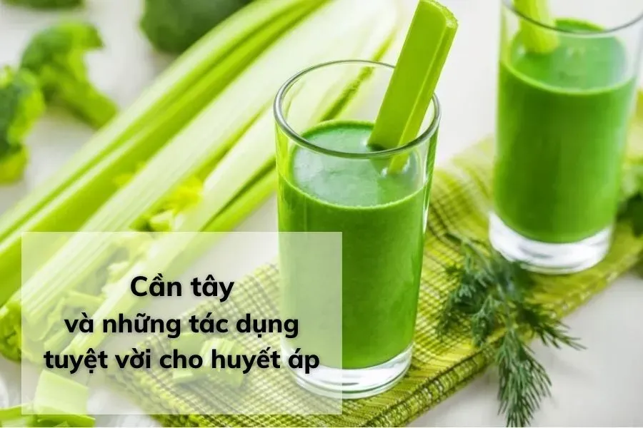 nuoc-ep-can-tay-ho-tro-dieu-hoa-huyet-ap-on-dinh.webp